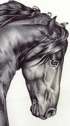 
                    
                        Horses exude emotion and strength.
                    
                