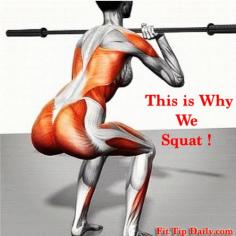 Different Types of Squats – Switch it Up For Amazing Legs!   See all these great variations to keep your workouts effective and interesting!   #squats #fitness #exercise #legs #fitfam