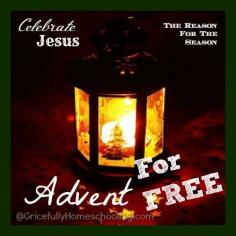 
                    
                        FREE {or almost} Advent Resources for Learning about Jesus - New UPDATED for 2014 list of Biblical Christmas through Advent
                    
                