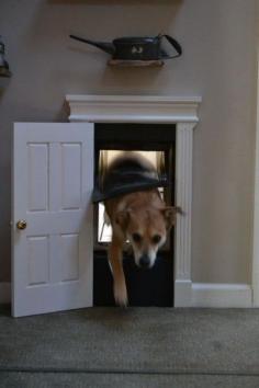 Cute indoor dog door, closed when not in use! This would be great to let the dogs go wherever in the house or keep them out if certain rooms