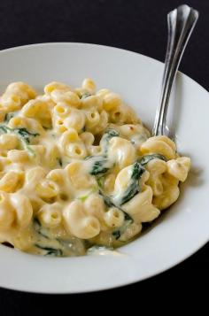 
                    
                        greek yogurt mac n' cheese
                    
                