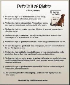 
                    
                        Bill of Rights for Pets
                    
                