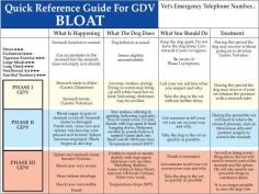 
                    
                        Bloat Chart (Click To View Larger)
                    
                