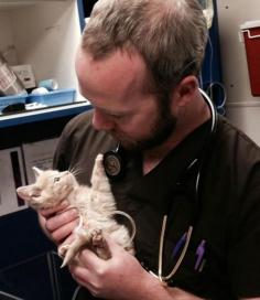 
                    
                        Denver animal shelter saves frozen kitten. After an hour of attention and treatment, Elsa stabilized. ♥
                    
                