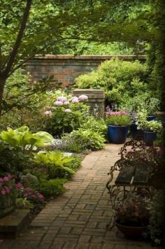 shady backyard garden - English garden