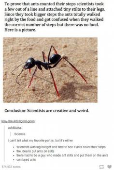 Science and Ants