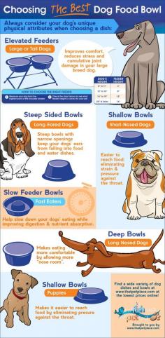 
                    
                        Choosing the perfect dog bowl (infographic) #dog #bowls Oscar has long ears so he has a special bowl... He has never had an ear infection which is typical with long eared dogs.
                    
                