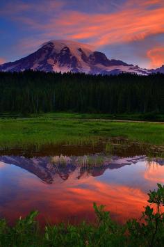 Sunrise in Mount Rainier National Park, Washington HOME