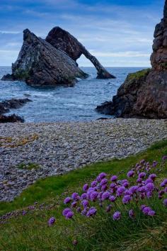 
                    
                        Spring landscape in Scotland, United kingdom.
                    
                