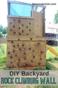 
                        
                            DIY Backyard Rock Climbing Wall
                        
                    