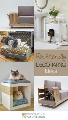 
                    
                        Pet Friendly Decorating • Ideas & tutorials!
                    
                