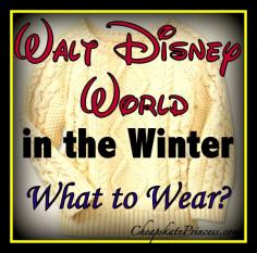 
                        
                            Items to bring to Disney World in winter
                        
                    