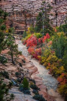 
                    
                        Zion National Park, Utah
                    
                