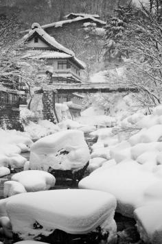 
                    
                        winter in the japanese garden
                    
                