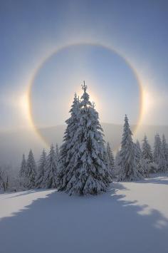 
                    
                        Halo in winter - Fichtelberg, Ore Mountains, Saxony, Germany
                    
                