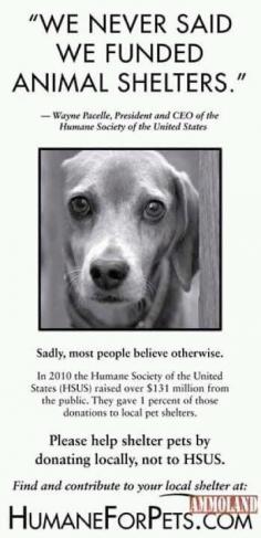
                    
                        THE HUMANE SOCIETY OF THE UNITED STATES DOES NOT HELP HELP TO FUND ANIMAL SHELTERS- If you want to help shelter pets, donate to local rescue/adoption groups or your local Shelter.
                    
                