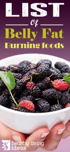 
                    
                        List of Belly Fat Burning Foods
                    
                