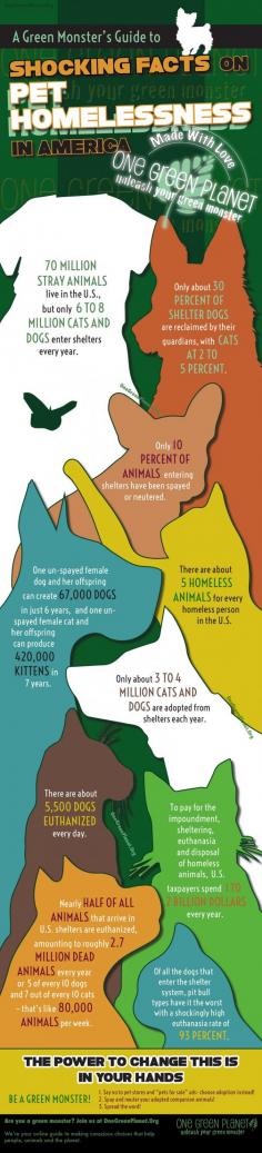 
                    
                        Shocking Facts on Pet Homelessness [INFOGRAPHIC] #infographic #pets
                    
                