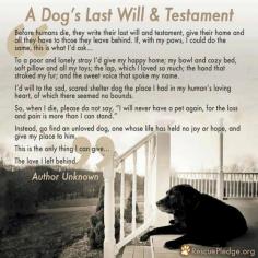 
                    
                        A Dog's Last Will & Testament.
                    
                