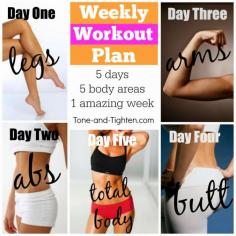 
                    
                        Workout Plan for the Week- 5 free workouts to get you into shape! Tone-and-Tighten.com
                    
                
