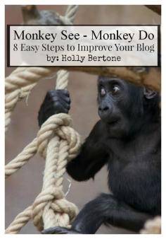 
                    
                        IBA | Monkey See – Monkey Do: 8 Easy Steps to Improve Your Blog
                    
                
