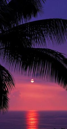 
                    
                        Beautiful tropical sunset at Kealakekua Bay on the Kona coast of Hawaii u2022 photo: Pete Orelup on Flickr
                    
                