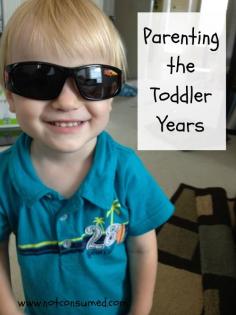 
                    
                        Parenting the toddler years - for the days when you think you will never make it and the days that melt your heart. Tips from moms just like you!
                    
                