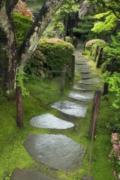 
                    
                        wet stone pathway in Japanese Zen garden
                    
                