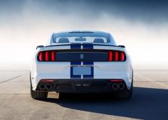 
                    
                        New  Ford Mustang Shelby GT350 2016
                    
                