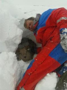 Sheep rescued during a major snowstorm