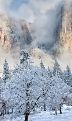 
                    
                        Winter in Yosemite National Park, California
                    
                