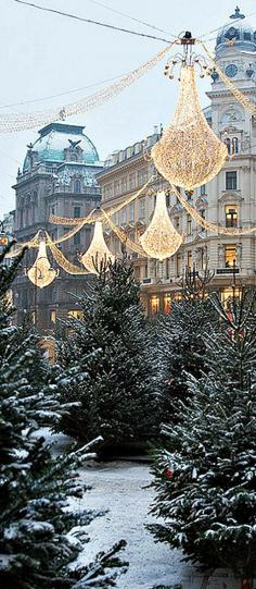 
                    
                        Vienna, Austria
                    
                