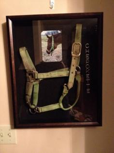 
                    
                        For my boy I lost 10yrs ago. I still have his halter.
                    
                