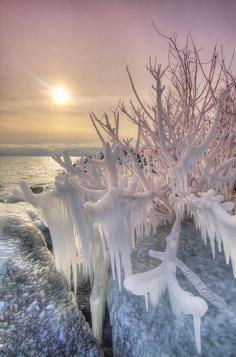 
                    
                        Sunset and Ice
                    
                