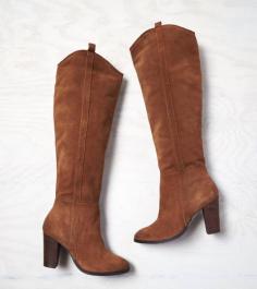 
                    
                        Dolce Vita Myste Tall Boots
                    
                