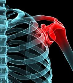 
                    
                        A rotator cuff injury is a major set back for athletes. Here are the best exercises to prevent shoulder injuries.
                    
                