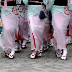 
                    
                        Awa Odori
                    
                