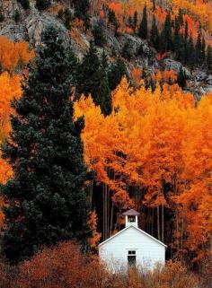 
                    
                        Autumn Schoolhouse, Colorado photo via darlene
                    
                