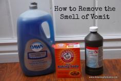 
                    
                        The smell of vomit. It seems impossible to remove, but I have the perfect recipes for removing the vomit smell out of everything. Isn&#8217;t in the worst feeling as a mom? It is the middle of the night. Suddenly, your child comes down crying because she has thrown up all over her bed. I remember the first major time with Abby like it was yesterday. You feel awful for your… <a href="http://meaningfulmama.com/2013/05/how-to-remove-the-vomit-smell-from-anything.html">{Read More}</a>
                    
                