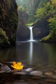 
                    
                        Eagle Creek, Oregon, United States.
                    
                