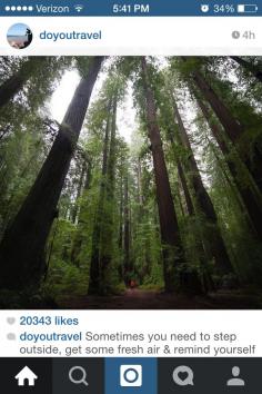 
                    
                        I need a picture like this with the Redwoods in Cali.
                    
                