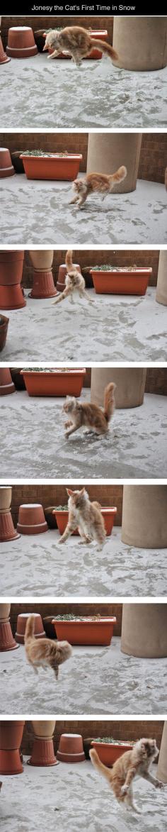 
                    
                        Playing In The Snow for the first time
                    
                