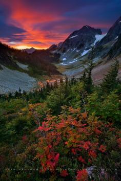 
                    
                        "Early fall color on a spectacular morning at Cascade Pass in North Cascades National Park, Washington." Photo by Sean Bagshaw.
                    
                
