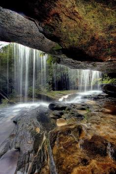 
                    
                        ✮ Brisbane Waters National Park, Gosford, Australia
                    
                