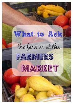 
                    
                        what to ask at the farmers market
                    
                