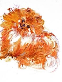 
                    
                        Pomeranian Pom Watercolor Fine Art Dog Print Signed by ratafia
                    
                