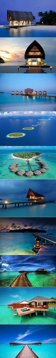 
                    
                        The Maldives
                    
                