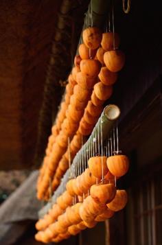 
                    
                        Dried persimmons, Yamanashi, Japan 干し柿
                    
                