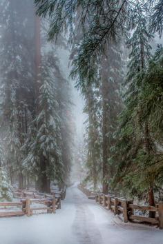 
                    
                        ....a winter road
                    
                