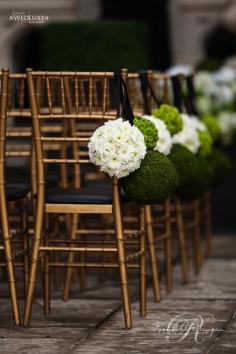 
                    
                        Wedding Ceremony Decor
                    
                